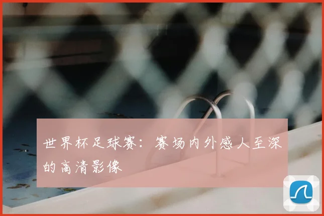 世界杯足球赛：赛场内外感人至深的高清影像