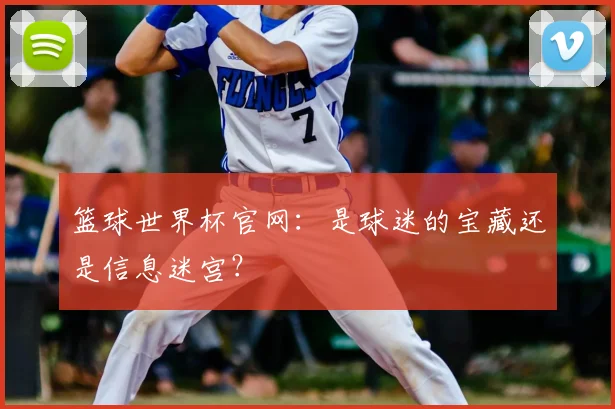 篮球世界杯官网：是球迷的宝藏还是信息迷宫？