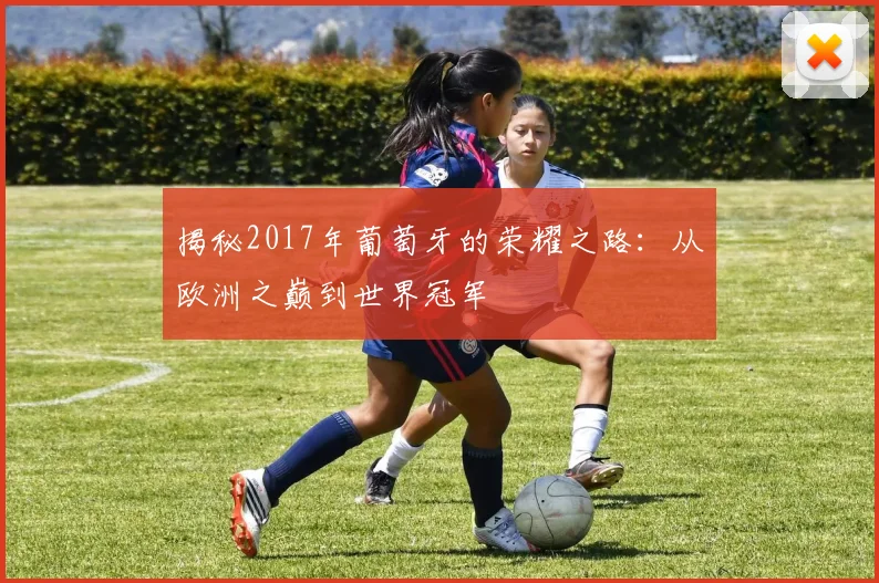 揭秘2017年葡萄牙的荣耀之路：从欧洲之巅到世界冠军