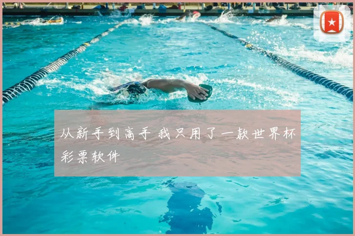 从新手到高手 我只用了一款世界杯彩票软件