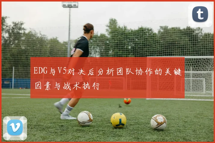 EDG与V5对决后分析团队协作的关键因素与战术执行