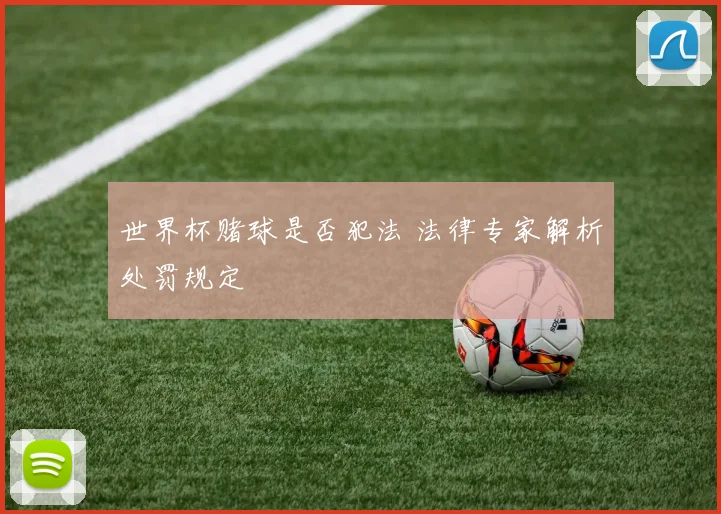 世界杯赌球是否犯法 法律专家解析处罚规定