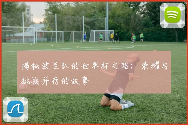 揭秘波兰队的世界杯之路：荣耀与挑战并存的故事