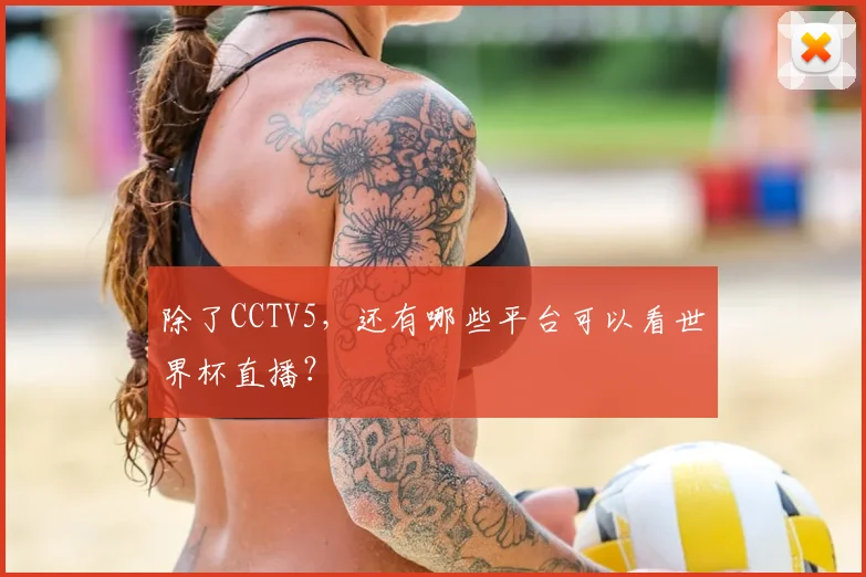 除了CCTV5，还有哪些平台可以看世界杯直播？