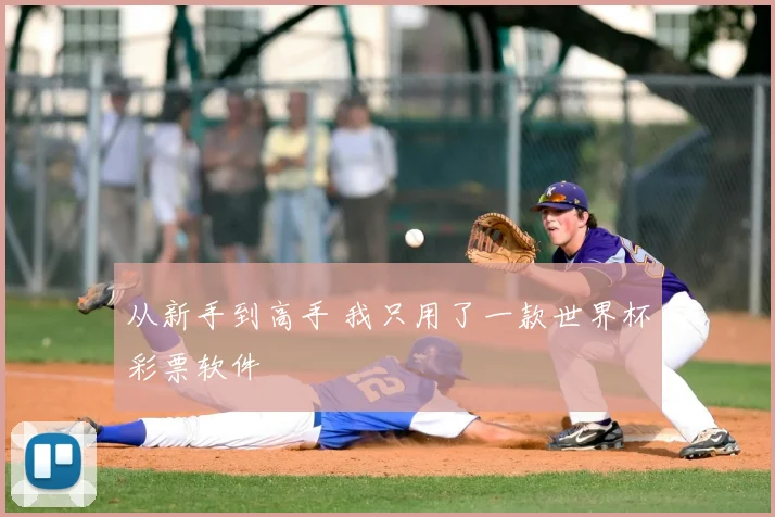 从新手到高手 我只用了一款世界杯彩票软件