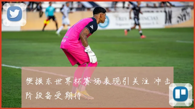 樊振东世界杯赛场表现引关注 冲击阶段备受期待