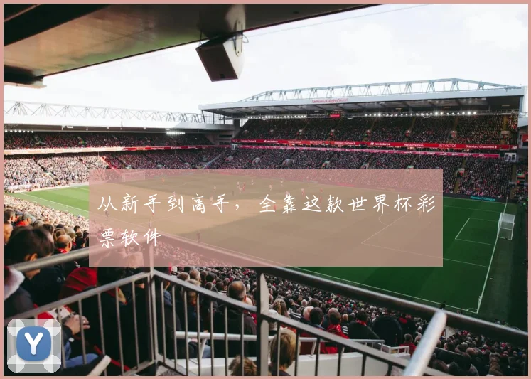 从新手到高手，全靠这款世界杯彩票软件