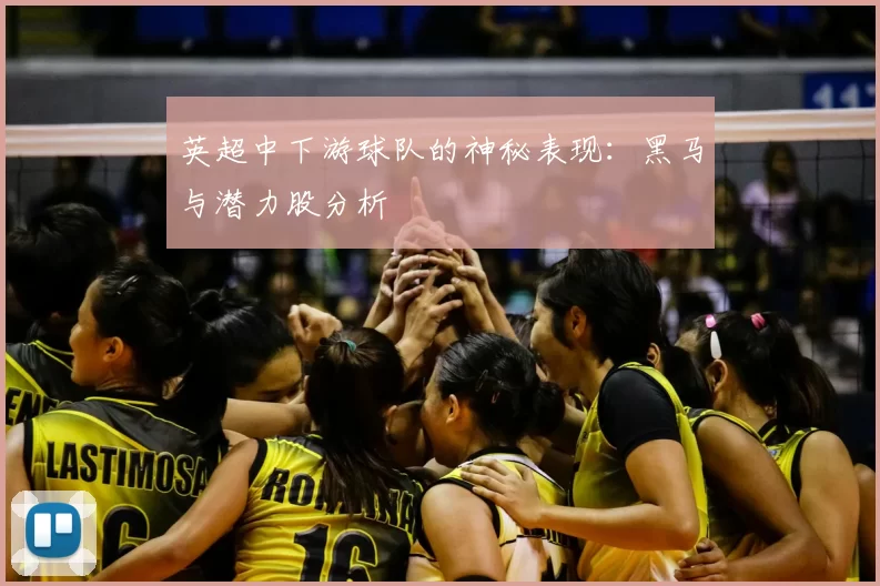 英超中下游球队的神秘表现：黑马与潜力股分析