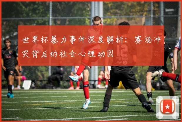 世界杯暴力事件深度解析：赛场冲突背后的社会心理动因