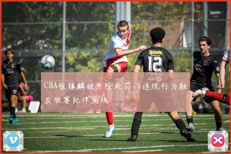 CBA张镇麟被开除处罚，违规行为触发联赛纪律底线