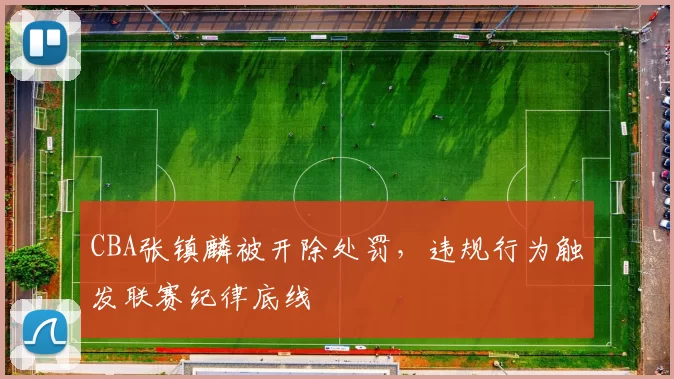 CBA张镇麟被开除处罚，违规行为触发联赛纪律底线