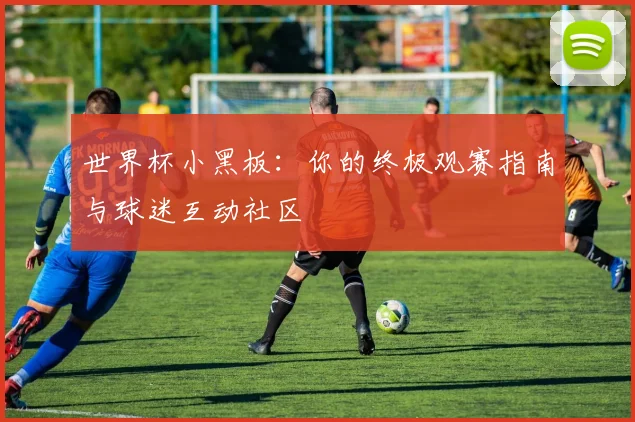 世界杯小黑板：你的终极观赛指南与球迷互动社区
