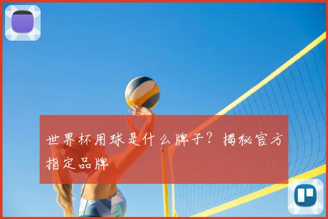 世界杯用球是什么牌子？揭秘官方指定品牌