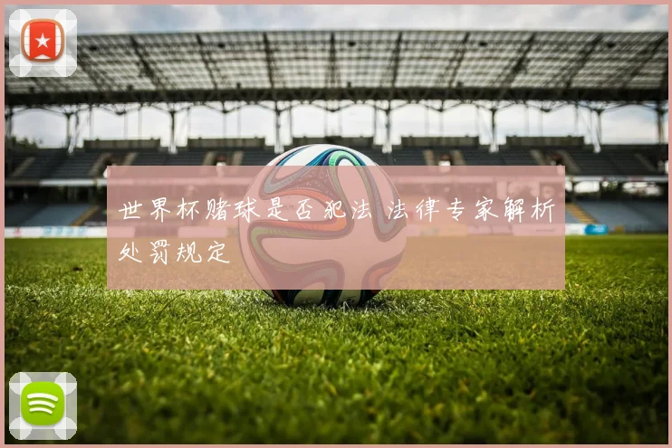 世界杯赌球是否犯法 法律专家解析处罚规定