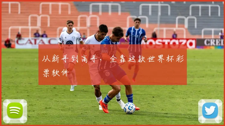 从新手到高手，全靠这款世界杯彩票软件