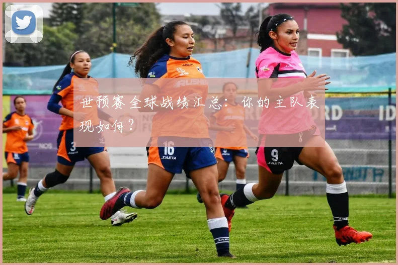 世预赛全球战绩汇总:你的主队表现如何?