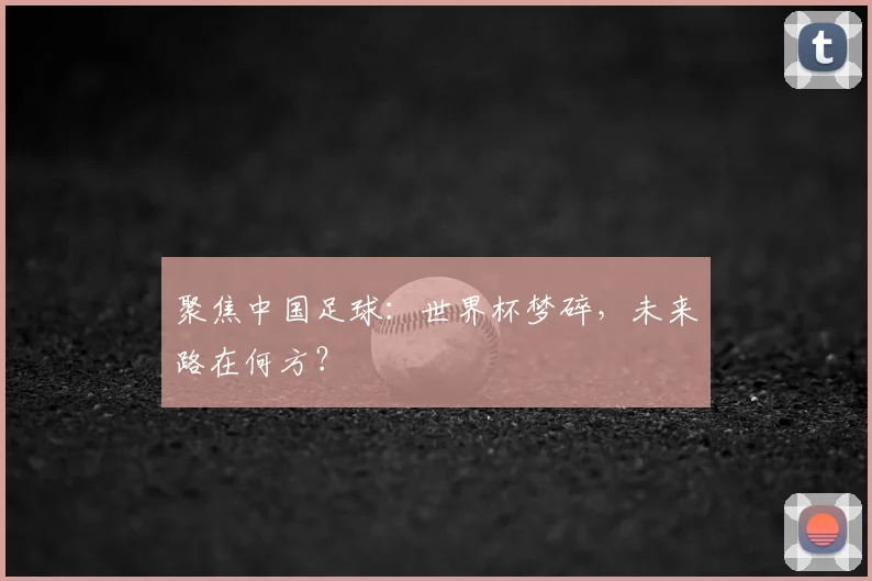 聚焦中国足球:世界杯梦碎,未来路在何方?